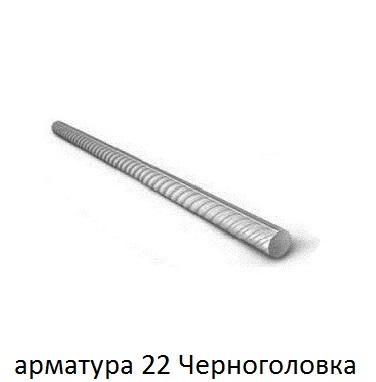 арматура 22 черноголовка